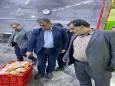 تشدید نظارت بر زنجیره تولید و توزیع مرغ در مازندران