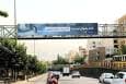 قصه‌های نان و نمک(10)/ پنگوئن‌ها در تهران!