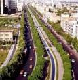 تهران دهه ۲۰ - نهرکرج، بلوار الیزابت ( کشاورز فعلی)