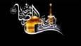مداحی شهادت امام رضا (ع) بانوای حسین ستوده/ امام رضا جانم