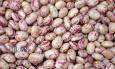 وقتی لوبیاچیتی با گوشت رقابت می‌کند؛ افزایش قیمت برای چندمین‌بار