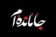 جاماندگان اربعین و نوای «لبیک یا حسین» در صحن امامزاده حسن (ع) کرج