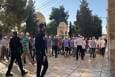 یورش شهرک‌نشینان صهیونیست به مسجدالاقصی