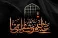 ولایتعهدی امام رضا (ع) پایگاه‌های فکری شیعه را تقویت کرد