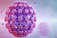 سود سالانه 5/2 میلیارد دلاری 3 شرکت از واکسن HPV