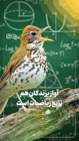 آواز پرندگان هم تابع ریاضیات است