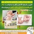 تعیین شعبه ۱۴ هزار فقره درخواست وام قرض‌الحسنه ازدواج و فرزندآوری در مرداد‌ماه توسط بانک سپه