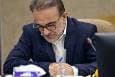 تأکید بر مرجعیت جهانی طب ایرانی؛ نظام پزشکی: افتخار به مفاخر گذشته باید چراغ راه آینده باشد