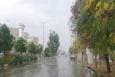 درد دیسک کمر: آیا می توان از جراحی اجتناب کرد؟