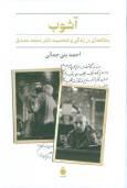 آشوب، بیرون‌کشیدن مصدق از هاله اسطوره‌