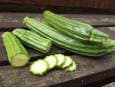 نان شکلاتی با کدو سبز؛ خوشمزگی غیرمنتظره از دل تابستان