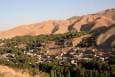 روستای آلوها جهانی می ‌شود | آلوی برغان چطور شهرت جهانی پیدا کرد؟