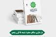 انتشار کتابی تازه در حوزه تاریخ‌نگاری شیعه + لینک