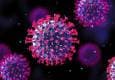 روش‌های انتقال ویروس HPV/ تزریق واکسن به معنی مصونیت کامل نیست