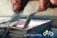 بودجه خواری یعنی پول دادن الکی به سازمان‌هایی که به هیچ دردی نمی‌خورند!