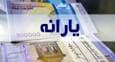 هشدار مهم مجلس درباره قطع یارانه / سرپرستان خانوار بخوانند