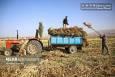 تصاویر | هنر سنتی «جاروبافی» در روستای ملاحسن