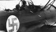 NATO country to scrap swastika – media