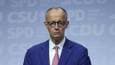 Germany ‘already in conflict’ with Russia – Merz