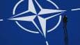 Could Russia have joined NATO?