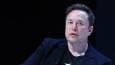Europe could ‘die out’ – Musk