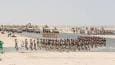 Ukraine’s backers select non-NATO forces for buffer zone – NBC News
