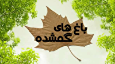 مستند «باغ‌های گمشده» از شبکه مستند