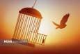 ۴۷ فقره پرونده قصاص نفس در خوزستان به مصالحه انجامید