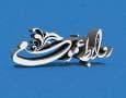 کمبود اعتبارات و نیروی انسانی؛ معضلات روابط عمومی‌های ادارات قم