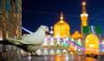 بشارت امام رضا(ع) برای آخرالزمان و ظهور منجی بشریت