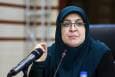مهاجرانی: دولت و بخش خصوصی فهم و زبان مشترک ندارند