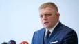 The West ‘used’ Ukraine – EU state’s PM