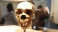 UK to return remains of war heroes to African nation – media
