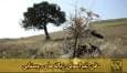 فیلم | دفن غیراصولی زباله‌های روستایی