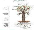  درخت اجتماعی سلامت؛ مدلی نوین برای ترسیم ابعاد چندگانه سلامت