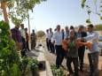 آسفالت مسیرهای روستای فش، سهم روستاییان کنگاور از پروژه‌های هفته دولت