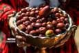 اولین جشنواره استانی عناب به میزبانی دانشگاه بیرجند برگزار می‌شود