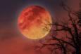 وقتی چهره سیمگون ماه به سُرخی می‌گراید