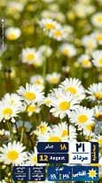 مروری بر سرتیتر روزنامه‌های کشور و مهم‌ترین تیترهای اقتصادی؛ امروز ۲۱ مرداد ۱۴۰۴