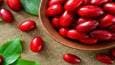 زغال‌اخته؛ میوه کوچک با خواص بزرگ برای سلامتی
