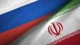 مسکو: اعمال تحریم علیه ایران پیامد‌های جبران ناپذیری دارد