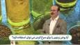 آیا روغن زیتون را می‌توان برای سرخ کردن غذا استفاده کرد؟ + فیلم