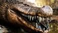 کروکودیل ۱۰ متری با دندان‌هایی هم‌اندازه موز؛ کابوس دایناسور‌ها در کرتاسه