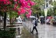 بدرقه ی تابستان با بارش باران در رشت