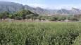 چم‌مهر، نقطه تلاقی رودها و فرهنگ‌ها در لرستان