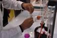 یک قند ساده، در نقش درمانگر دردهای مزمن عصبی