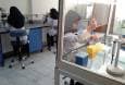 مهم‌ترین چالش تشخیص میکروب‌های بیماری‌ زا در ایران