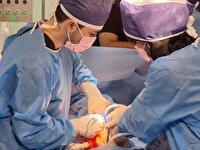 اهدای عضو به 4 بیمار زندگی دوباره بخشید