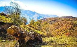 هوای گیلان تا پایان هفته گرمتر میشود