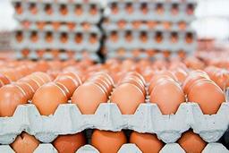 تخم مرغ پرواز کرد / چه کسانی پشت گرانی بازار تخم مرغ هستند؟